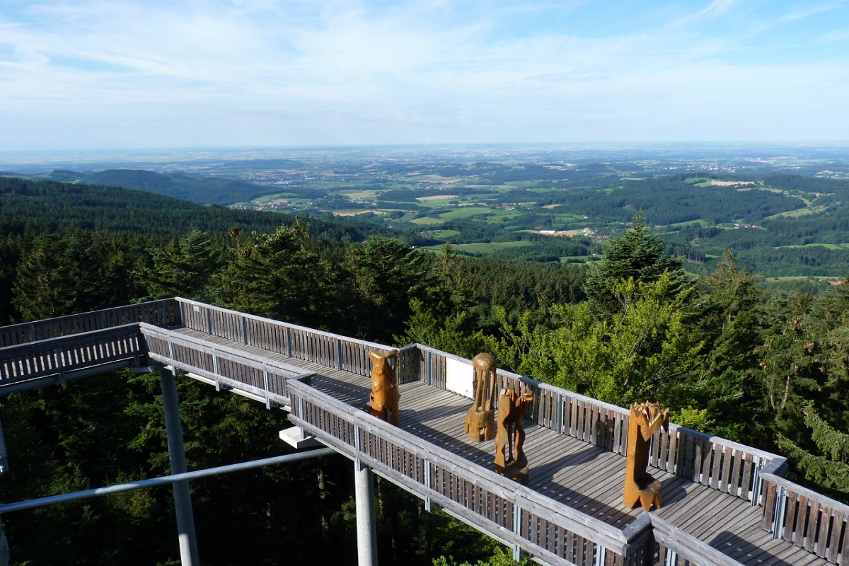Waldwipfelweg 002_1